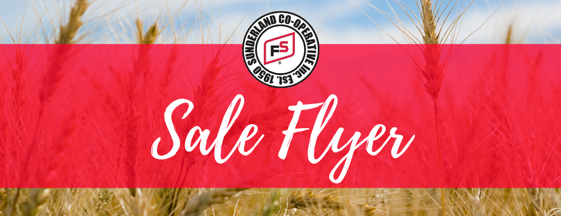 Sale Flyer Banner