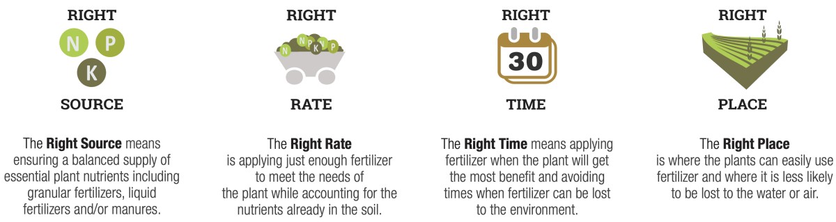 Right Source means a balanced supply of essential plant nutrients. Right RIght is applying just enough fertilizer necessary. Right time means timing application for the best benefit. RIght Place is where plants can easily use the fertilizer.