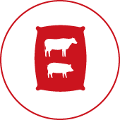 Livestock Feed & Supply Icon